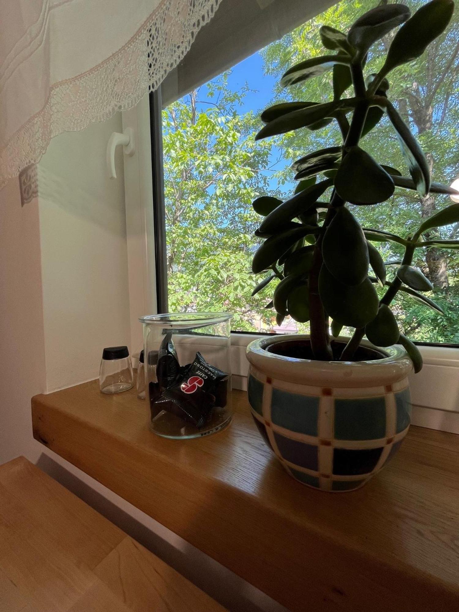 Ferienwohnung Azimut Hisa Tolmin Exterior foto
